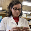 MONTSERRAT CALDERON SANTOYO