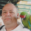 CARLOS ALBERTO HOYOS CASTELLANOS